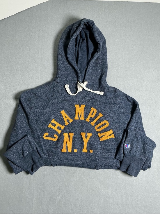 Champion Other - Champion Men’s Hoodie Size Small N.Y. Spellout  Blue Gold Pullover Sweatshirt